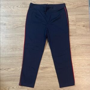 Sail to Sable Navy Pants with Red Stripe
